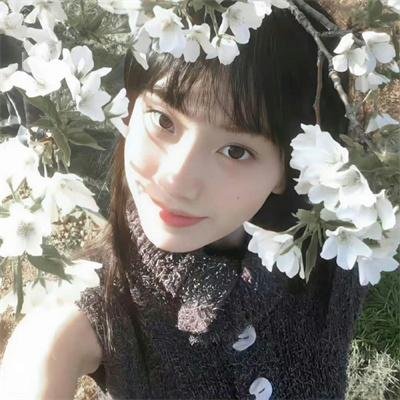 欢喜一家人之家族荣耀