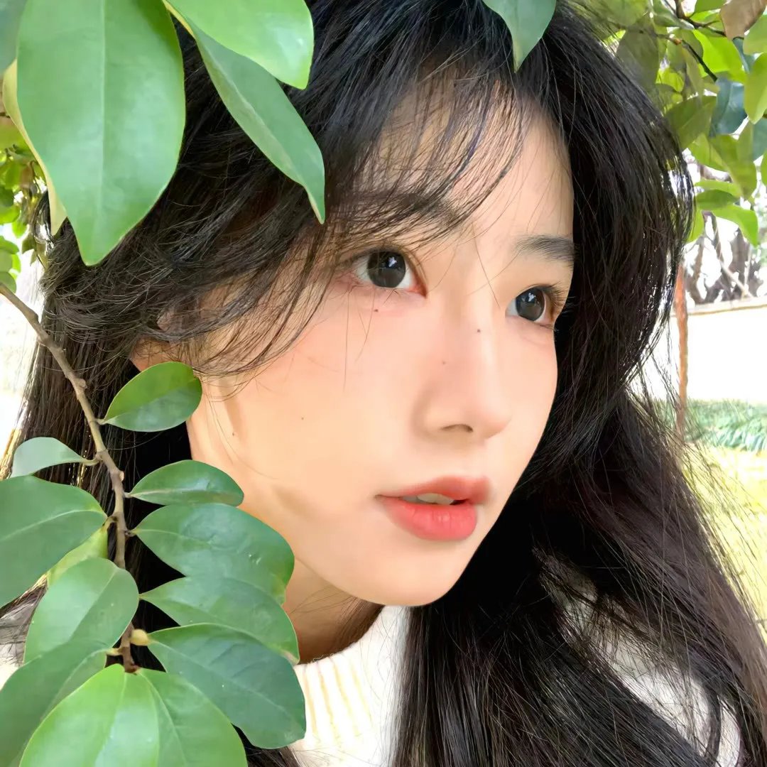 青春恋
